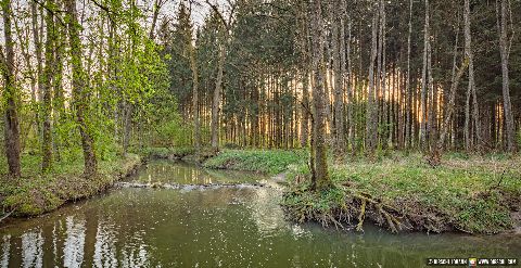 Gemeinde Eggenfelden Landkreis Rottal-Inn Lichtlberger Wald (Dirschl Johann) Deutschland PAN